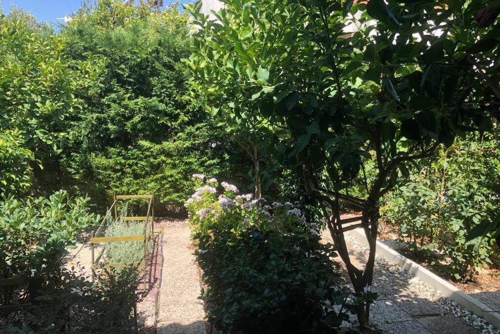 Вилла Ανακαινισμενη Μονοκατοικια 125 Τμ Στο Κεντρο Με Κηπο Missolonghi Экстерьер фото